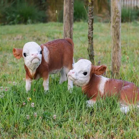 In By Sandy Beaches *