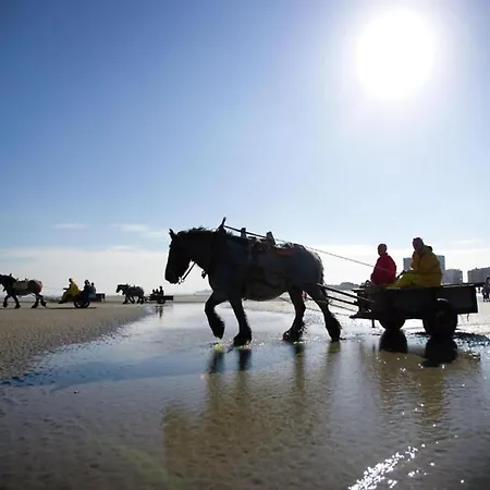 In By Sandy Beaches דירה *