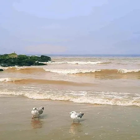 In By Sandy Beaches Апартаменты Ньивпорт