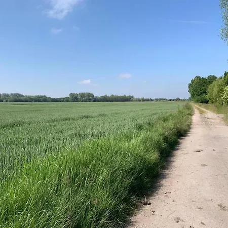 In By Sandy Beaches ניופורט