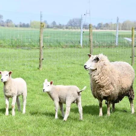 Апартаменты In By Sandy Beaches *