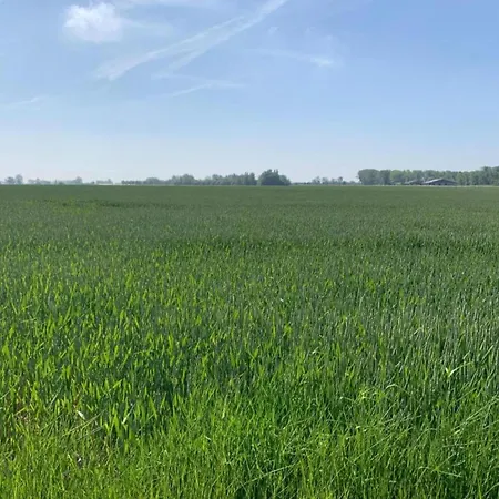 In By Sandy Beaches דירה ניופורט